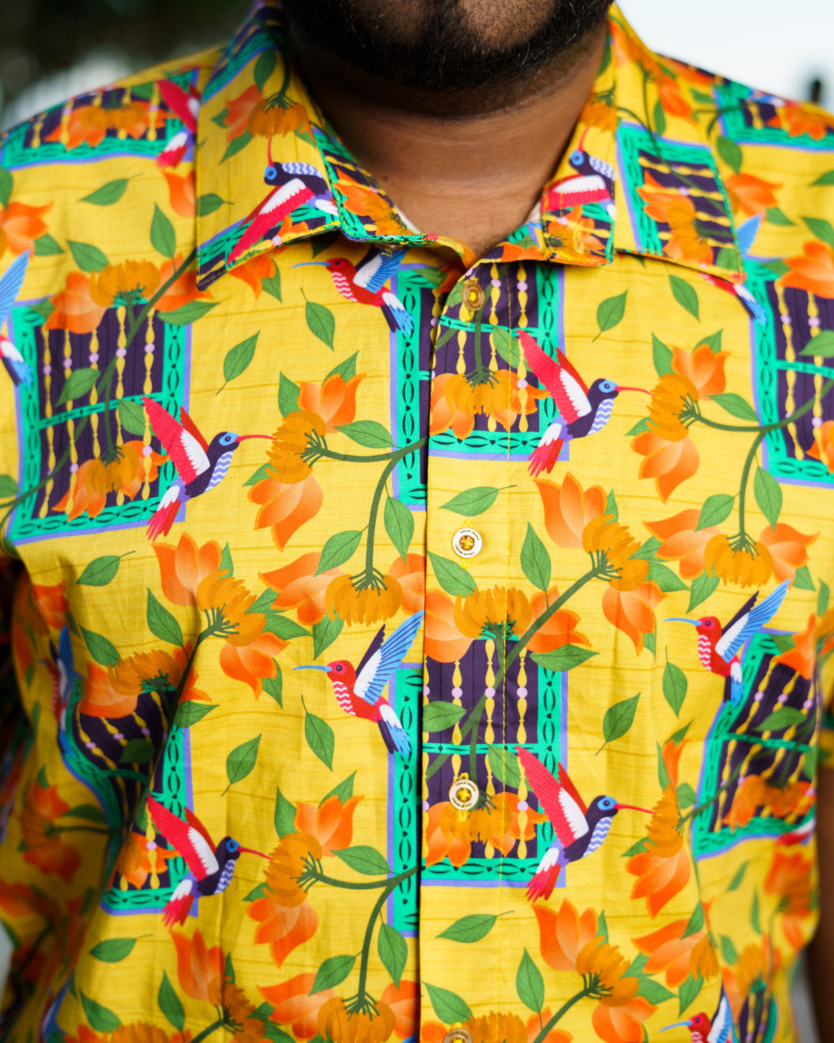 Camisa premium ALGODÓN. Ventana de bolillo con cuello inglés
