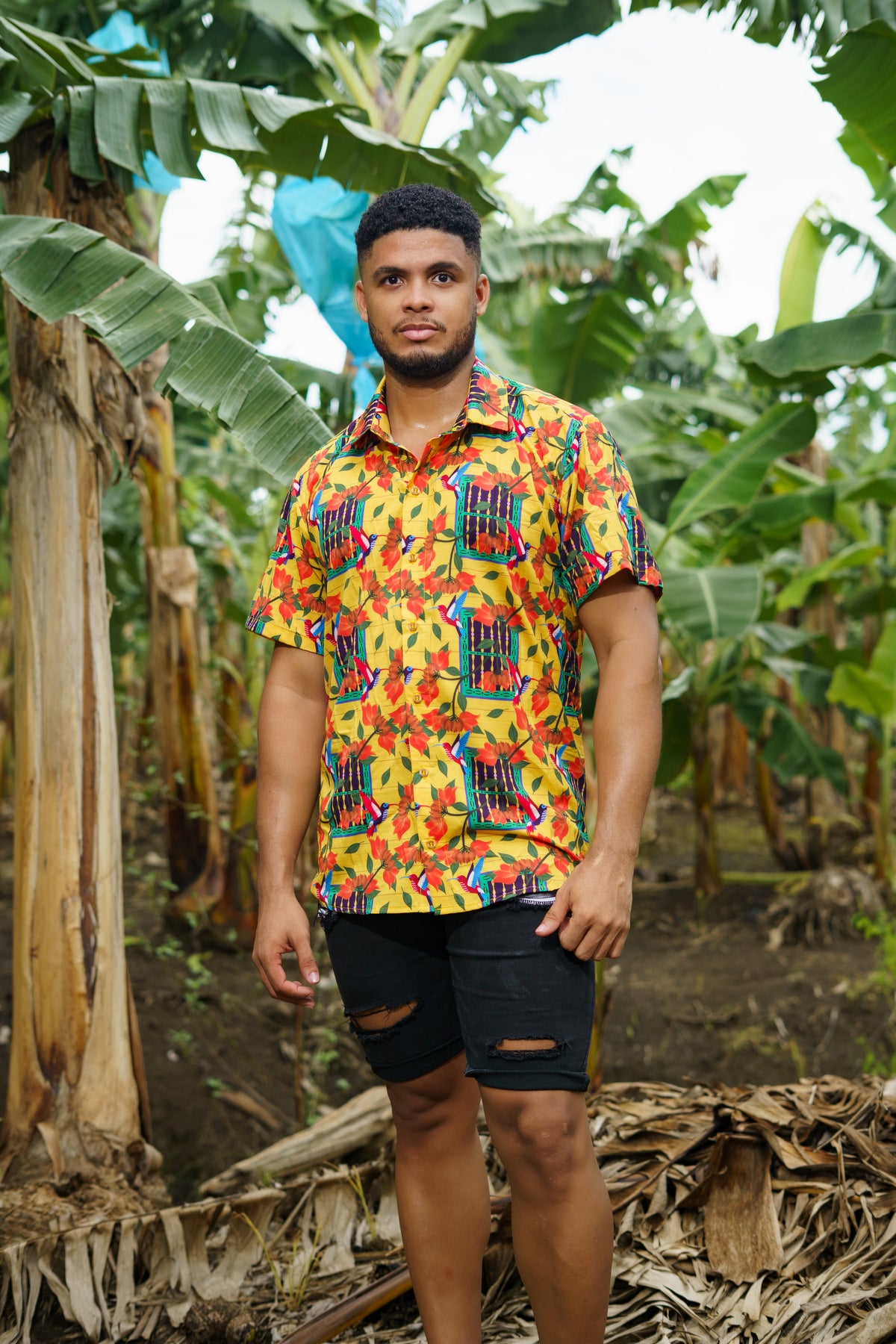 Camisa Ventana Bolillo Cuello Inglés - Ropa colombiana