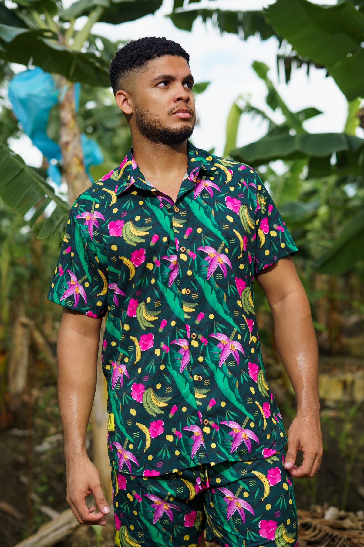Camisa de plátanos cuello inglés- Diseño La Taja.
