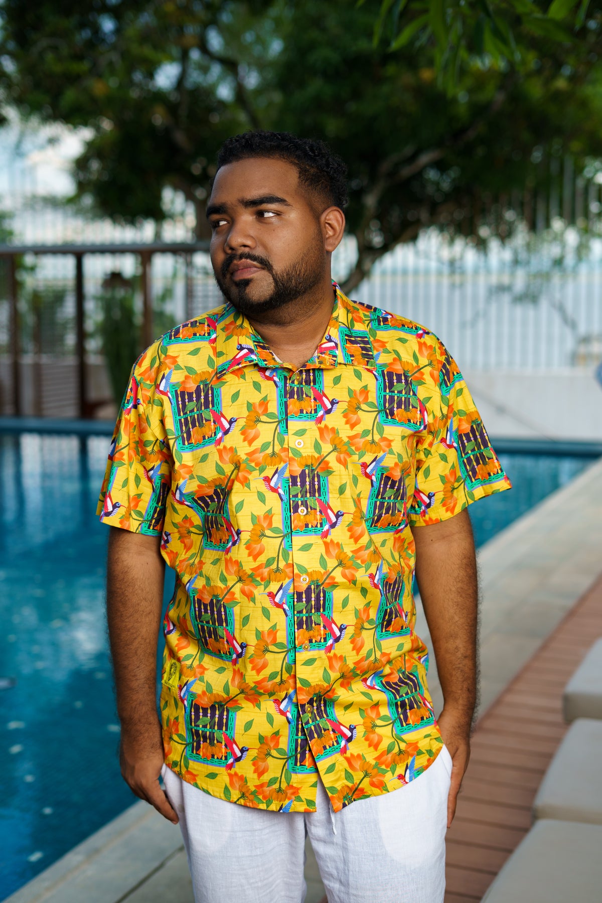 Camisa premium ALGODÓN. Ventana de bolillo con cuello inglés