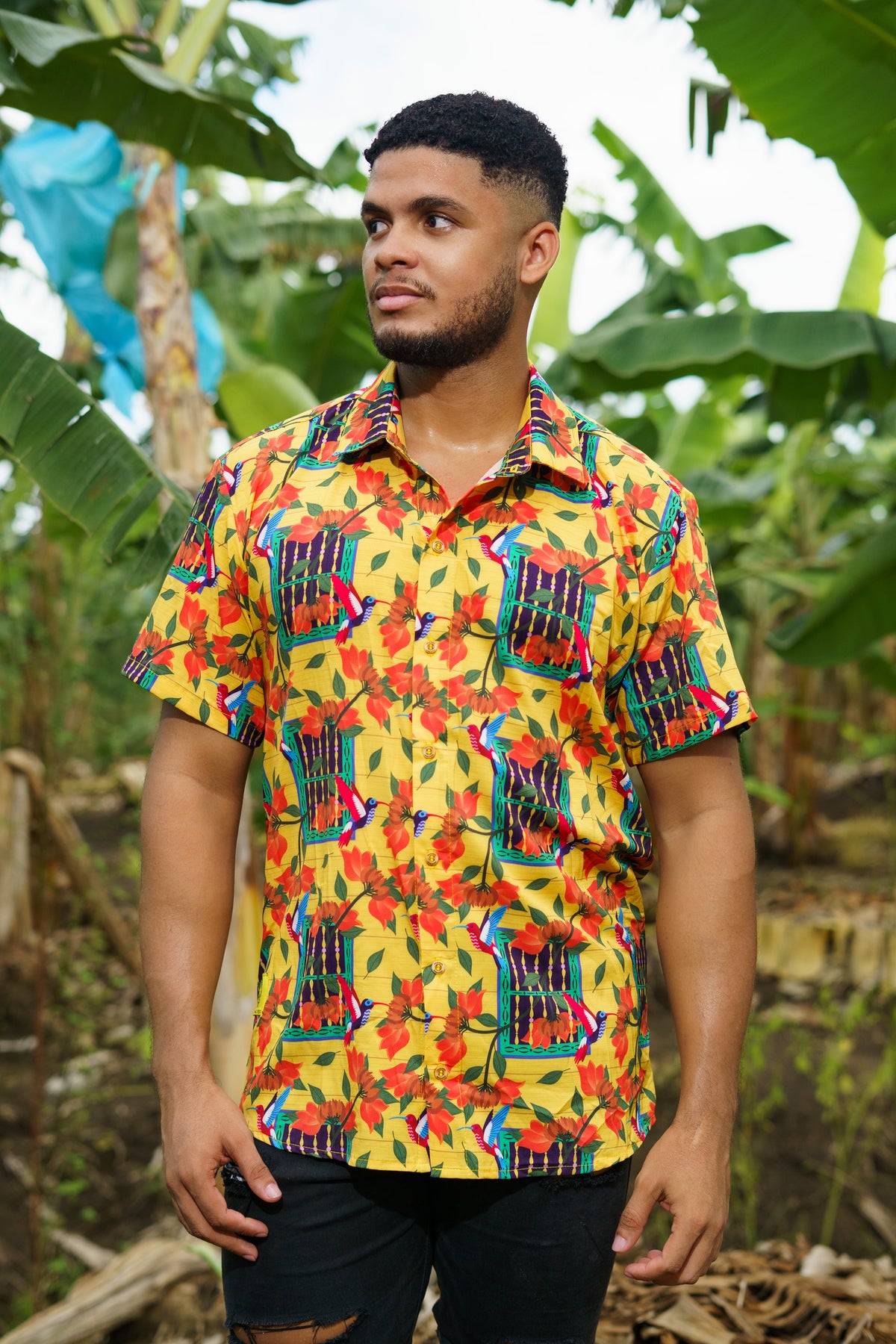 Camisa Ventana Bolillo Cuello Inglés - Ropa colombiana